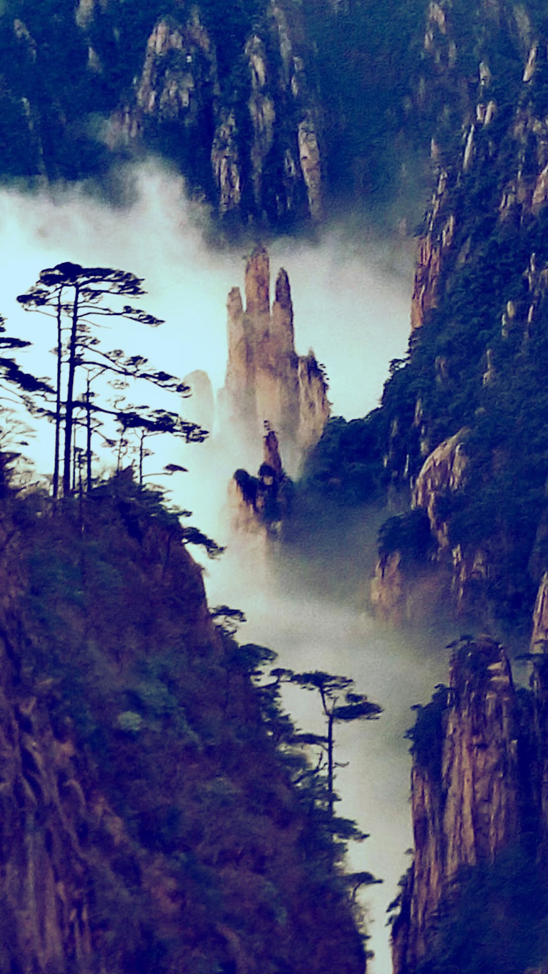 黄山西海瑶台的三剑客,黄山旅游攻略 - 马蜂窝