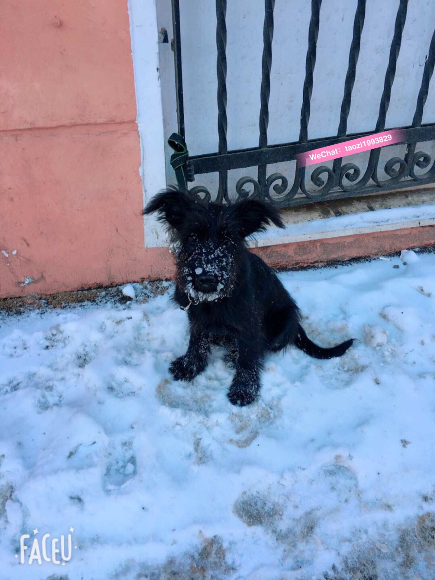 华西村人均收入_俄罗斯2018人均(2)