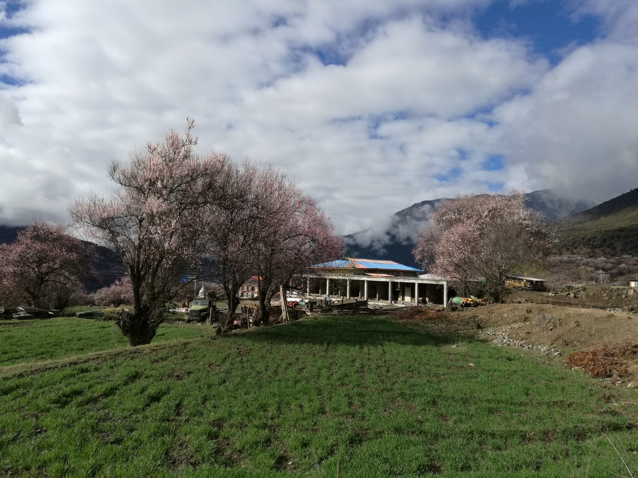 西藏旅游攻略 林芝不仅是个地名,更是一幅风景画   前往索松村的路上