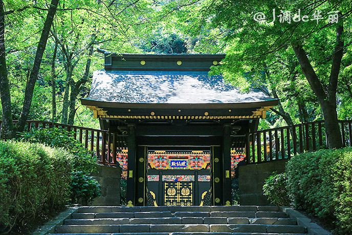 【日本】仙台:七夕祭的盛夏凉风