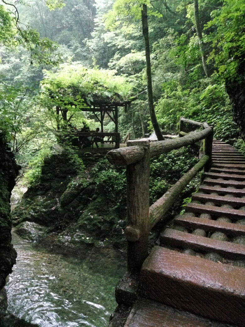 青城山后山徒步游记,青城山自助游攻略 - 马蜂窝