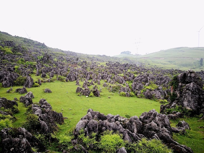 免费  开放时间:全天  地址:文山自治州丘北县舍得村  交通:从普者黑