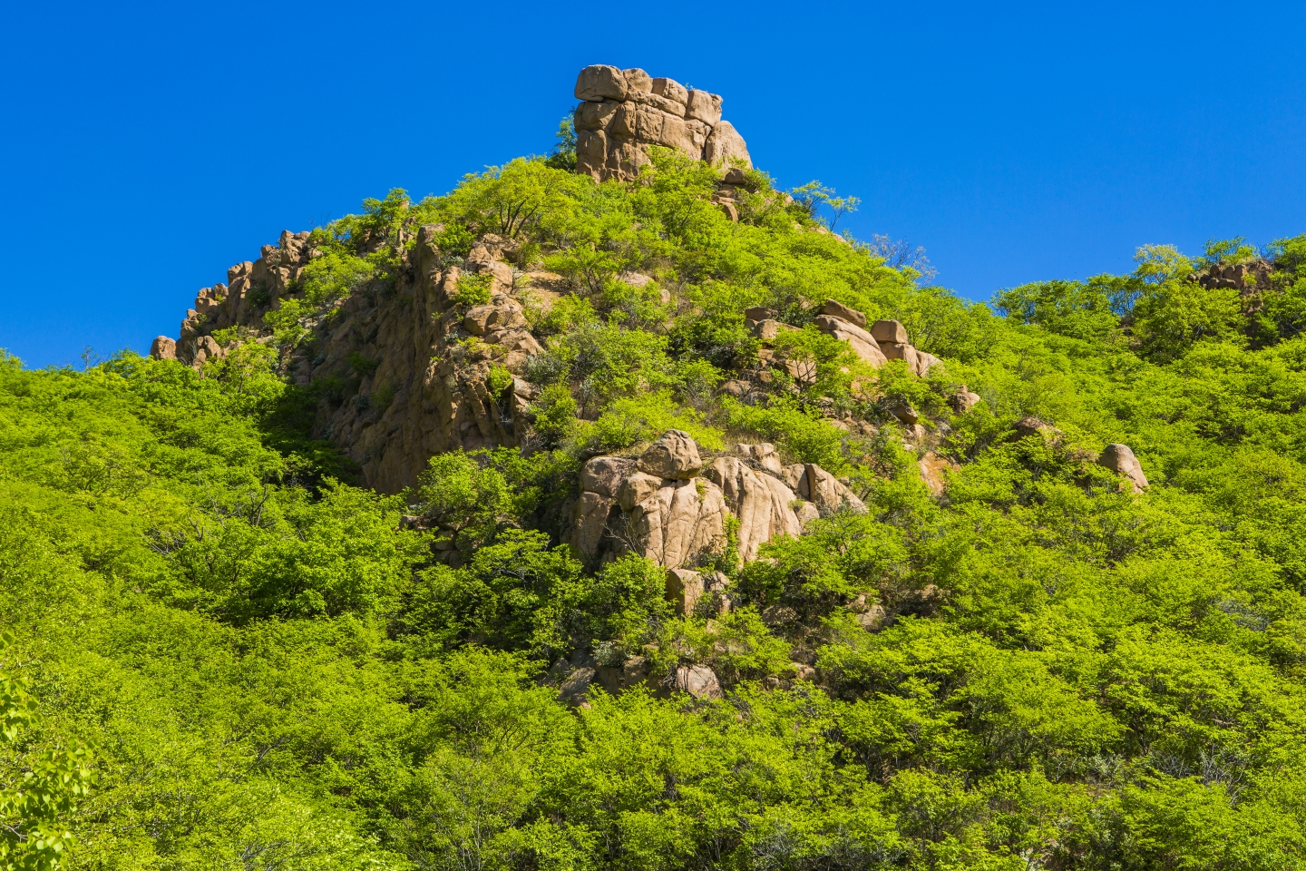 北票大黑山其实是一座绿水青山