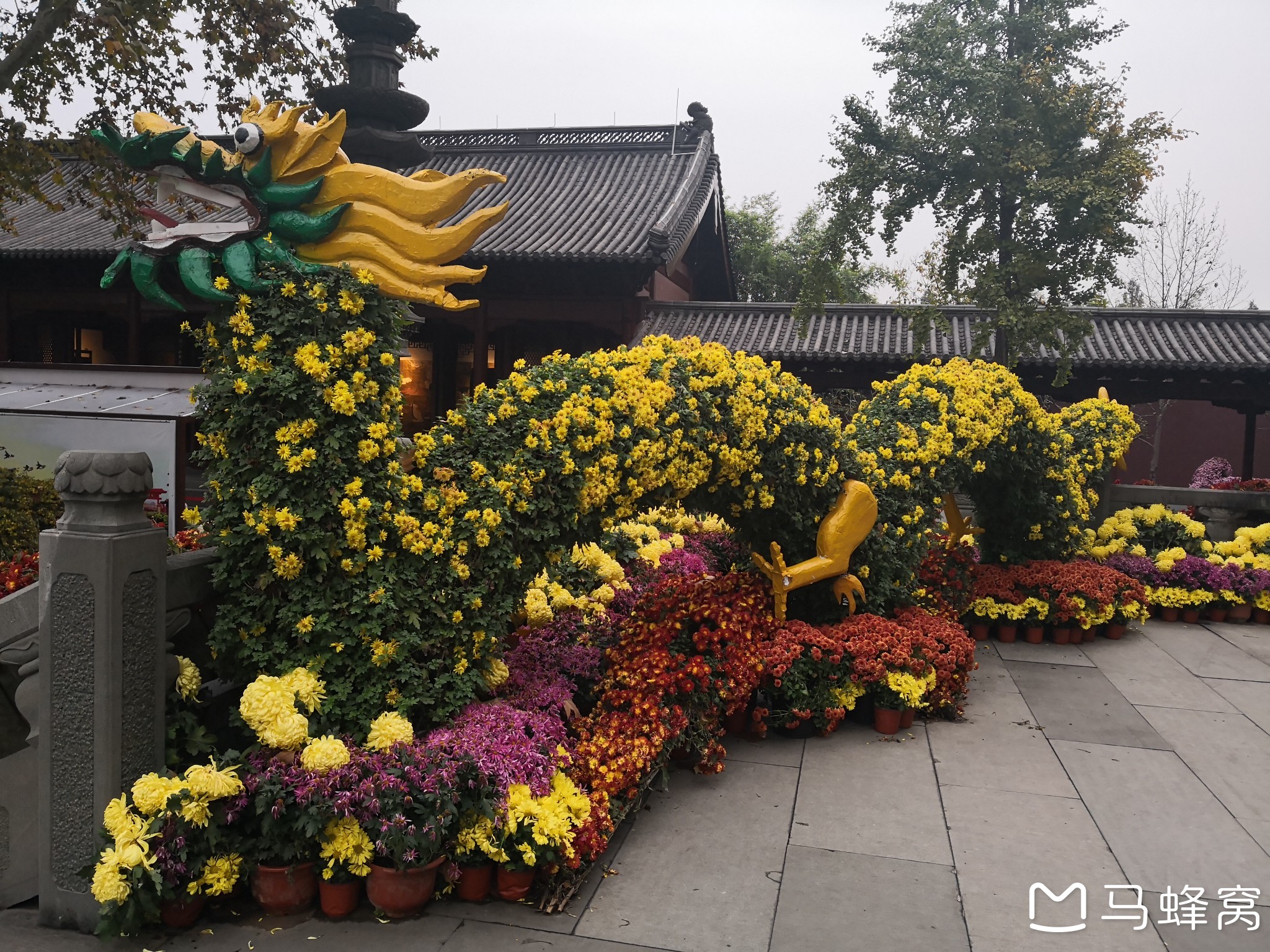 周末参观游览杭州西湖边的钱王祠的菊花展