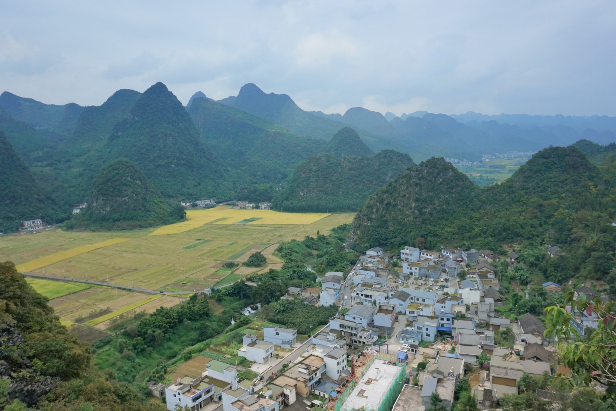 贵州流浪人口_贵州人口老龄化表图