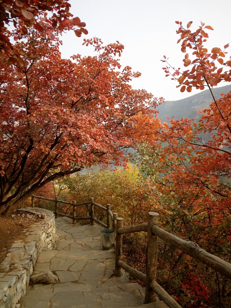 周口店坡峰岭风景区      