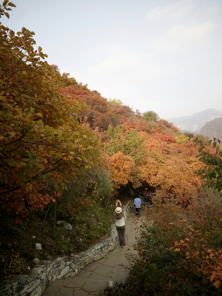 周口店坡峰岭风景区      