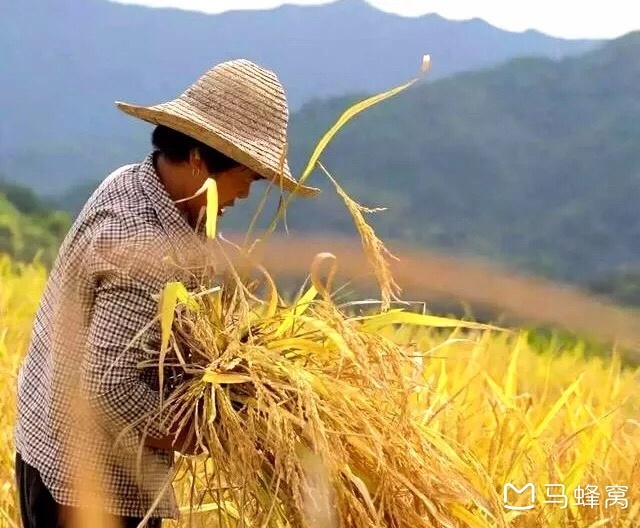 两个人国庆去婺源,9月30号中午到,到10月2号.跪求攻略