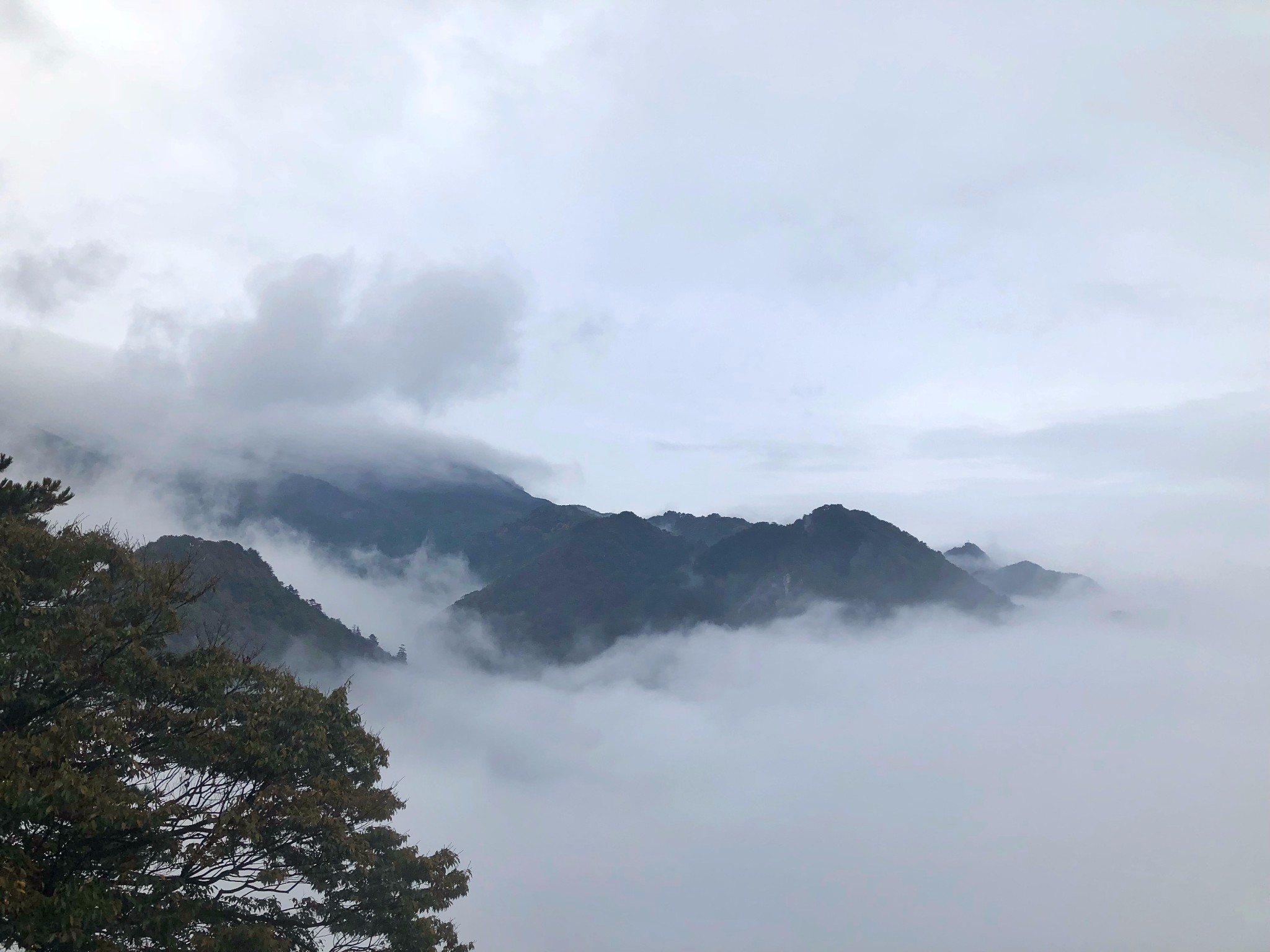 庐山烟雨