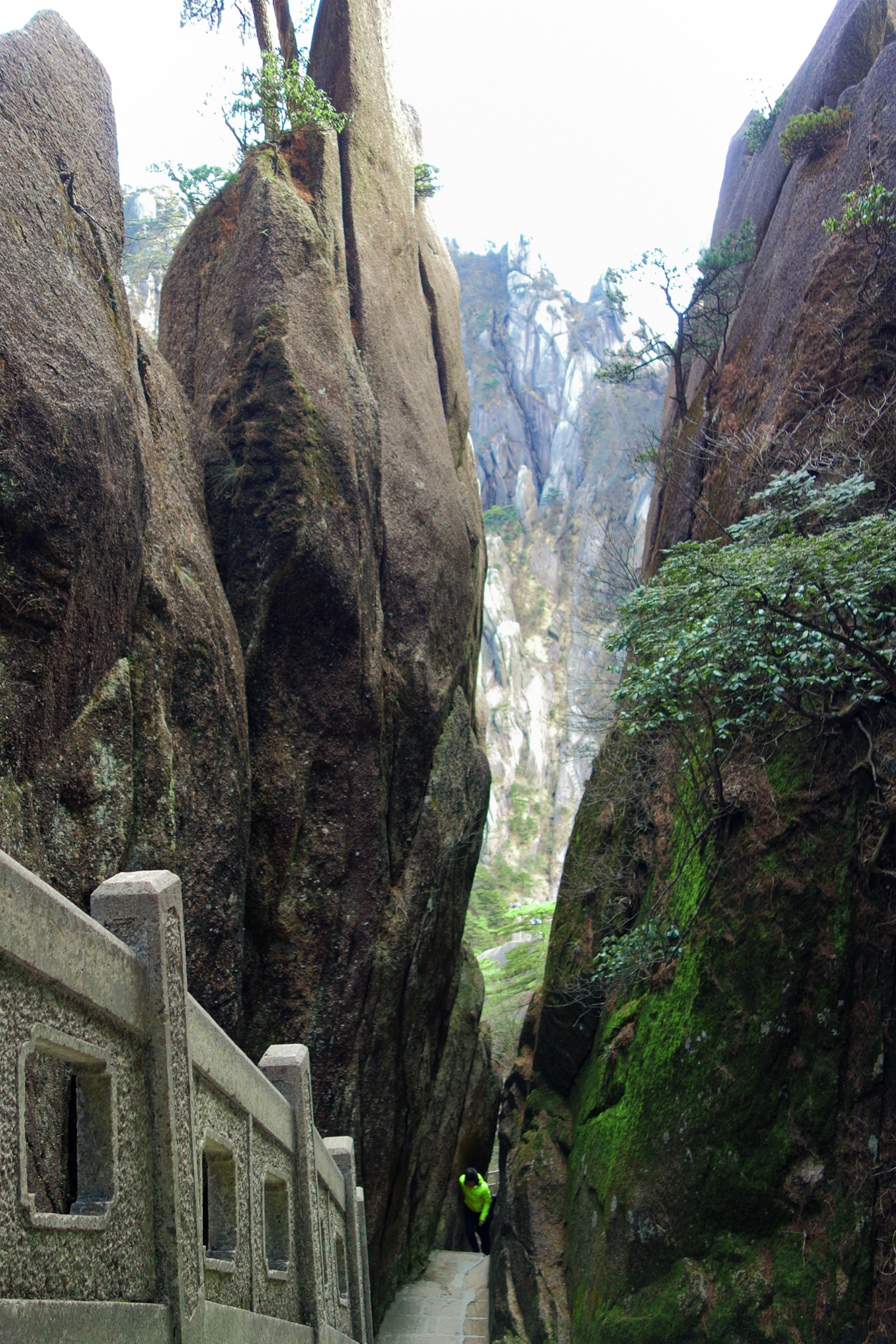 黄山露营