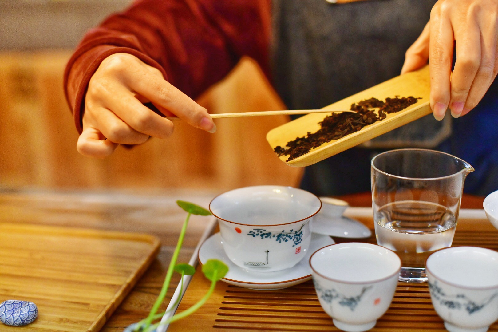 专门泡茶的高级茶艺师