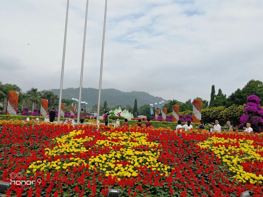 第二十届花博会——东南花都