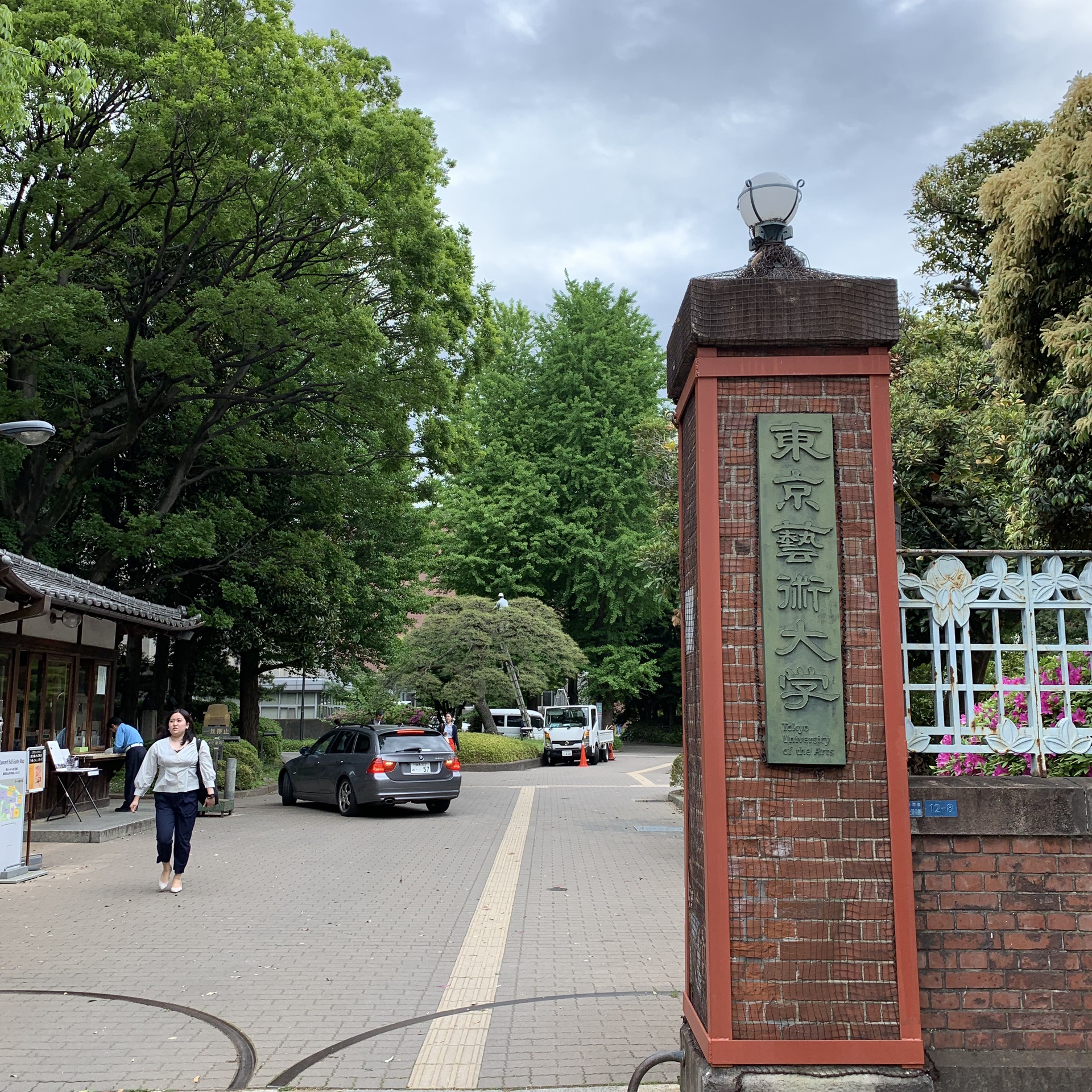东京艺术大学        