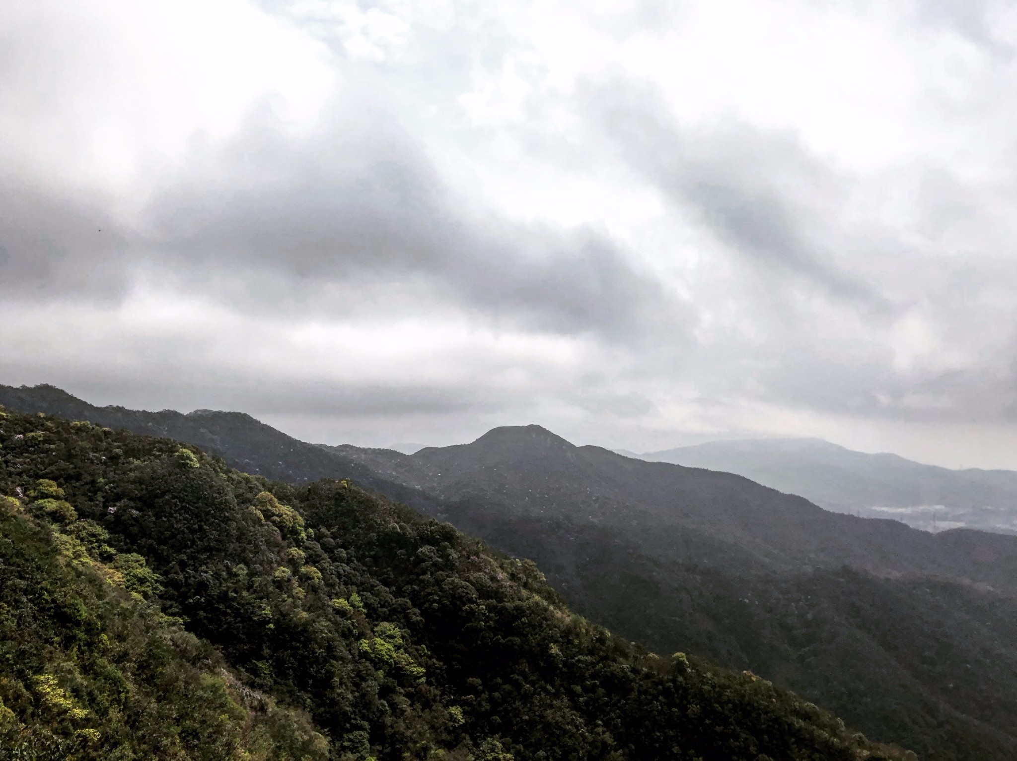 深圳·田心山 - 无人的崇山峻岭!