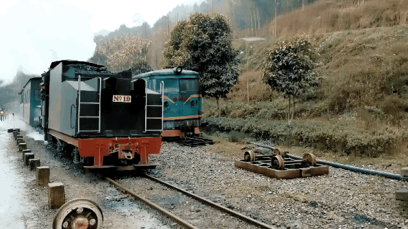 油菜花开了,一起坐小火车去踏春吧!