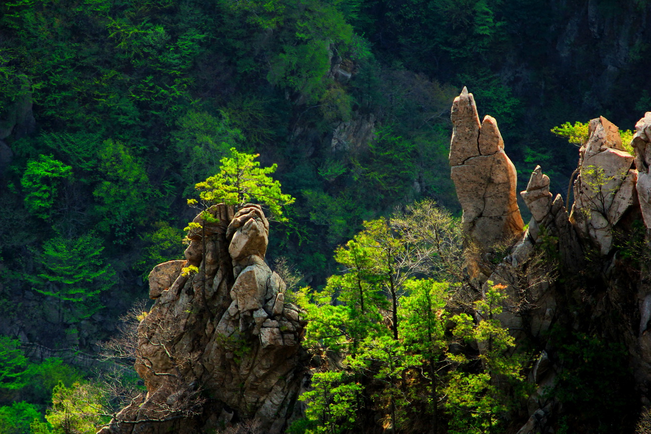 西峡县人口少_西峡县地图全图(2)