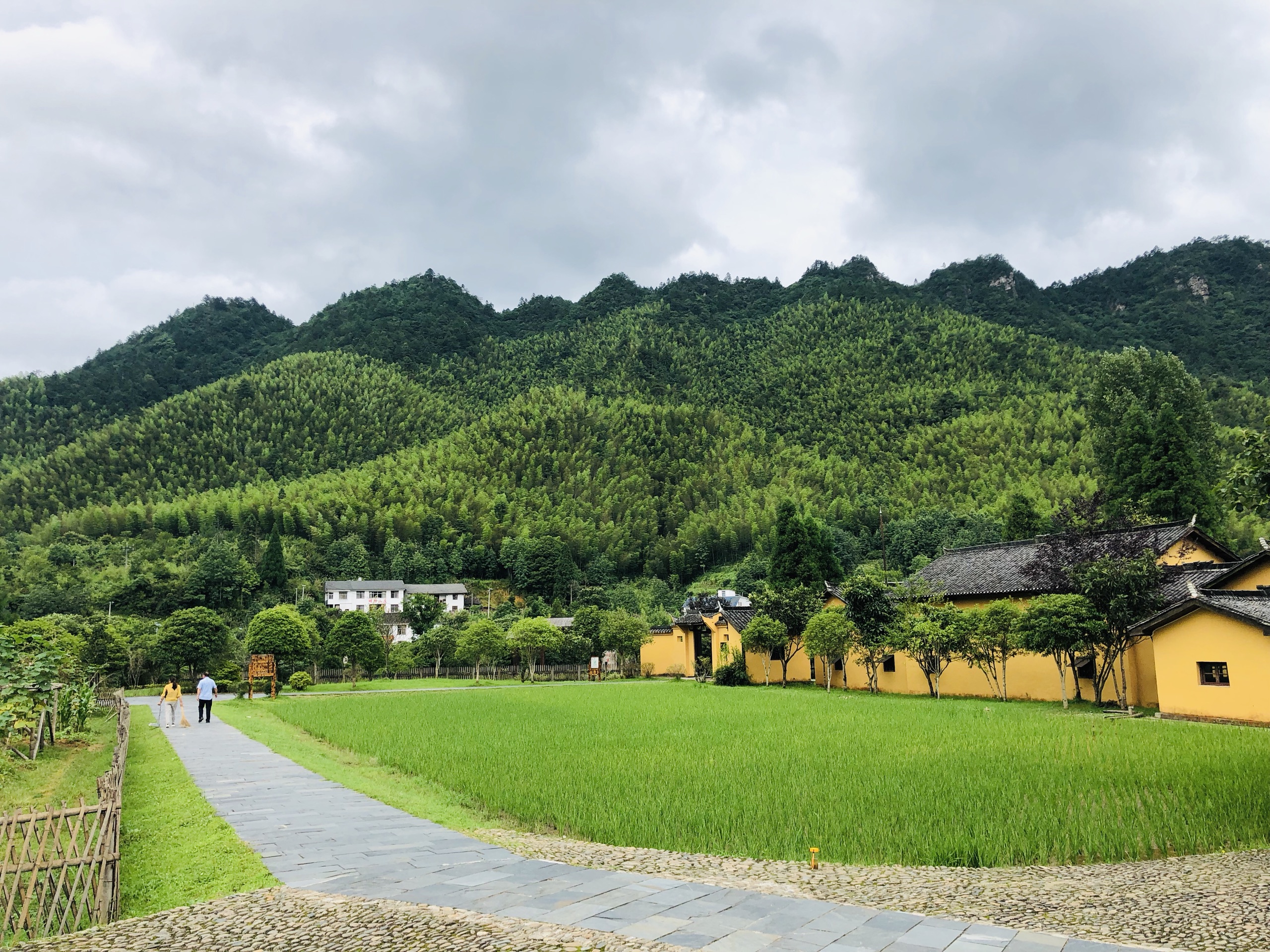 领袖峰