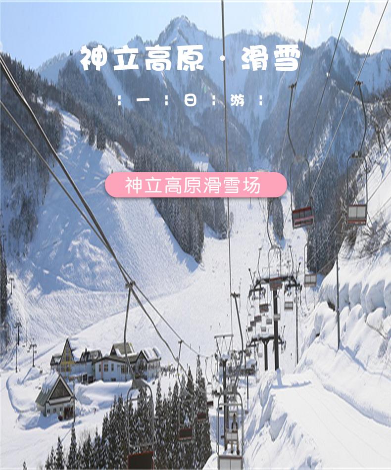【冰雪限定】新潟县 汤泽町 神立高原滑雪场一日游 含