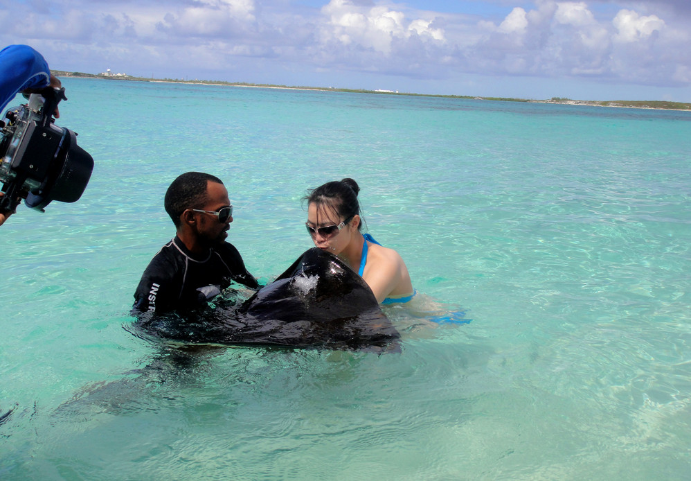 加勒比海豪华邮轮行之完全攻略,加勒比海自助游攻略