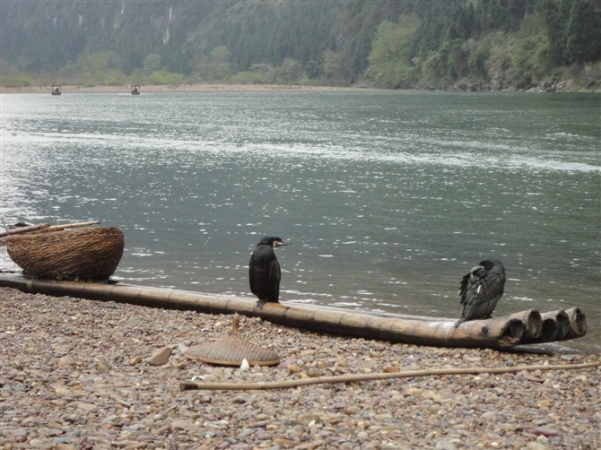 阳朔gdp_阳朔西街图片