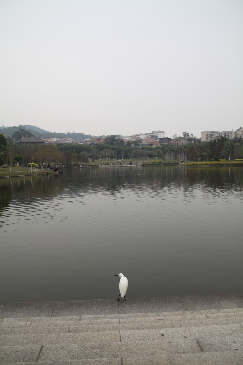 普陀多少人口_普陀寺(3)