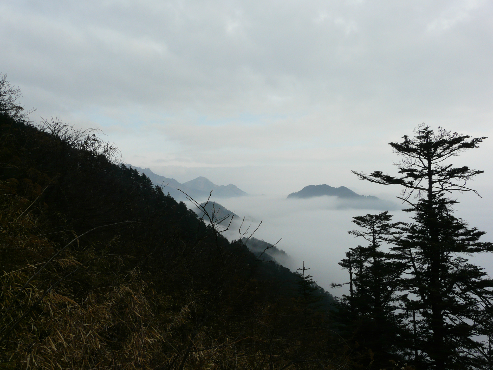 也是距西岭雪山主峰——"大雪塘"最近的观景点