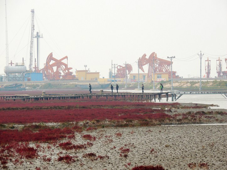 辽河油田红海滩(下)