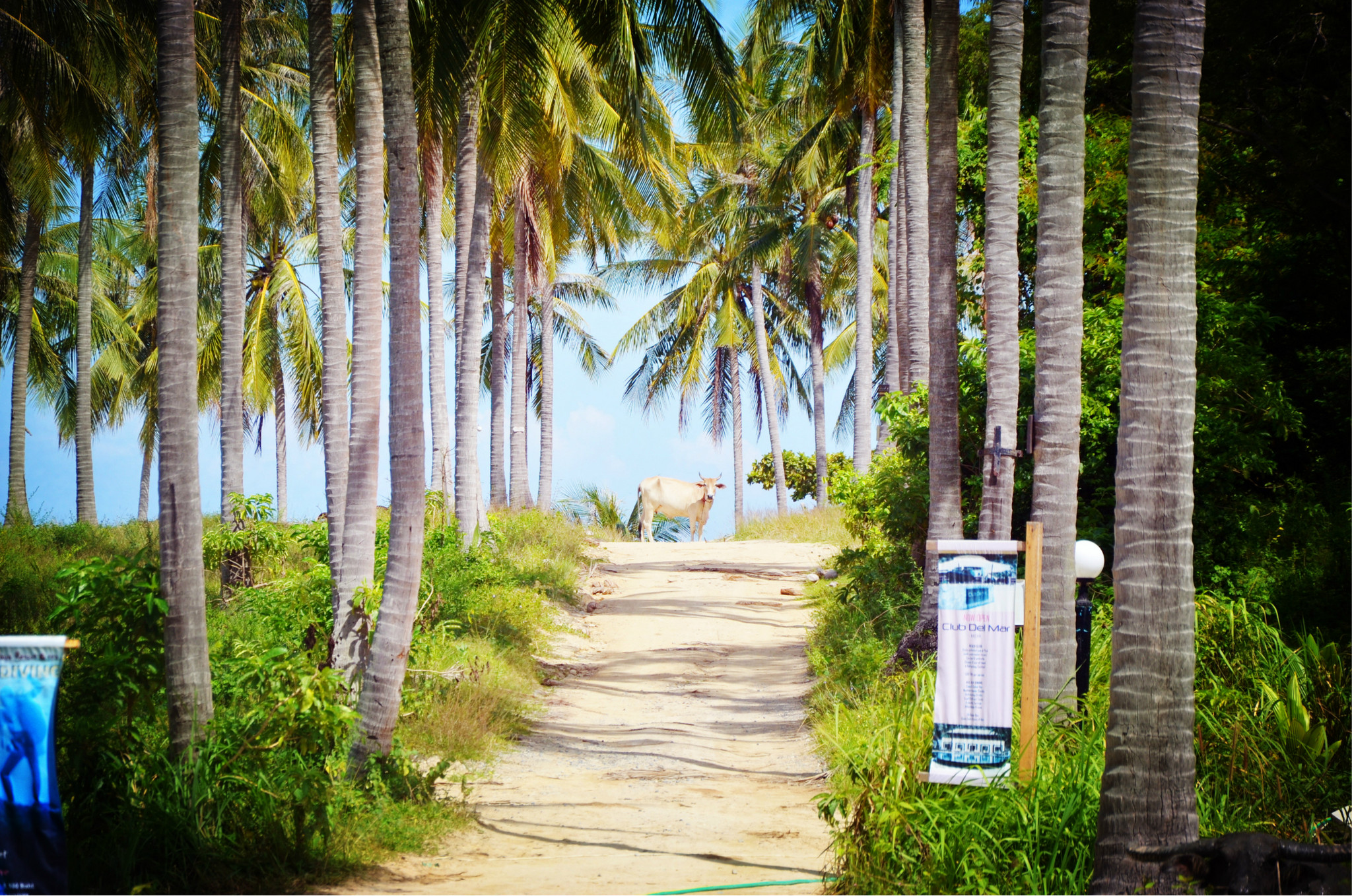 皇帝岛有哪些好玩的，皇帝岛好玩吗，皇帝岛旅游攻略