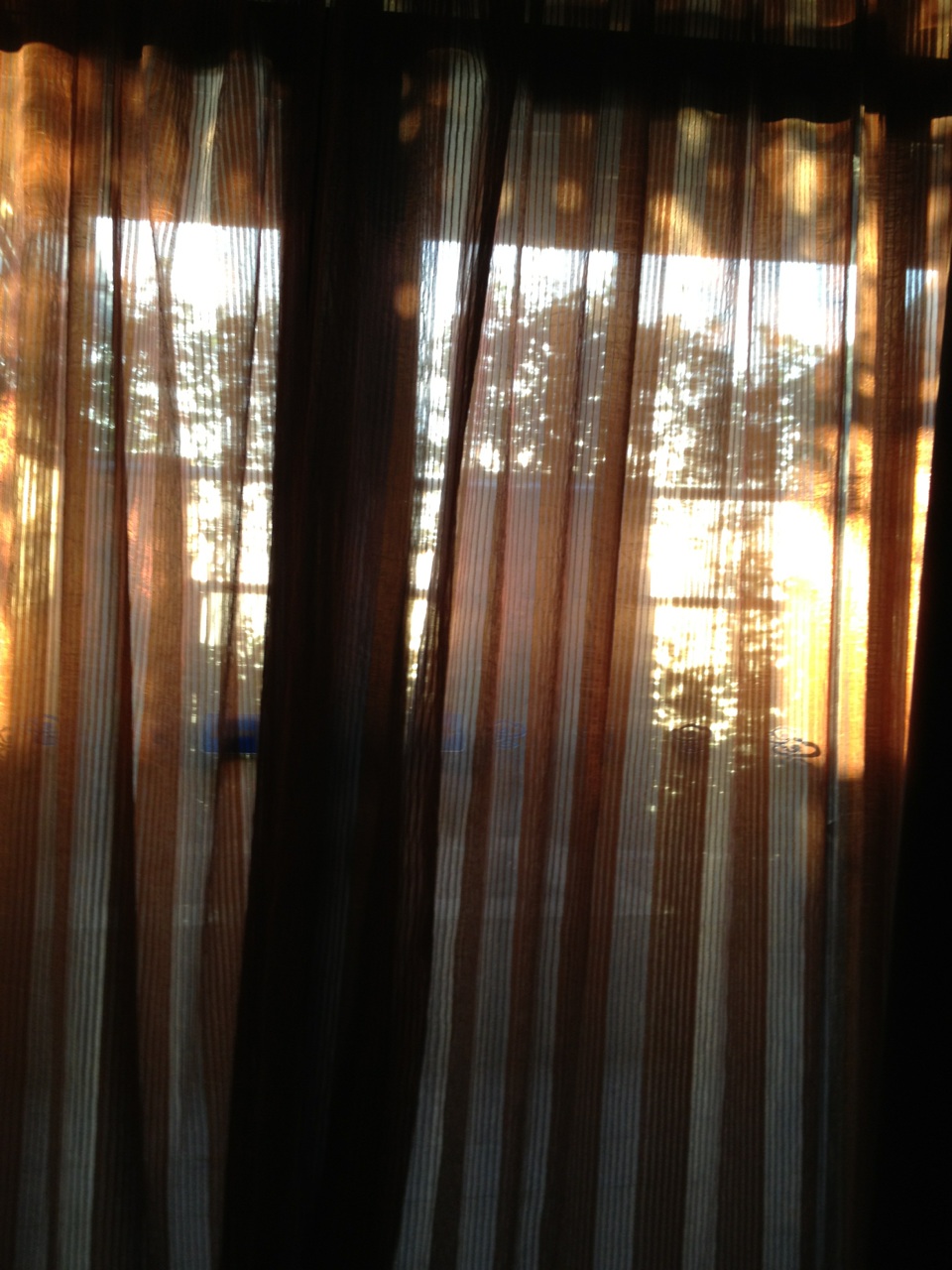 清晨不到6点阳光透过窗帘