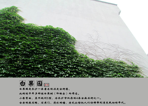 城正街人口_东汇城超市人口图片(2)