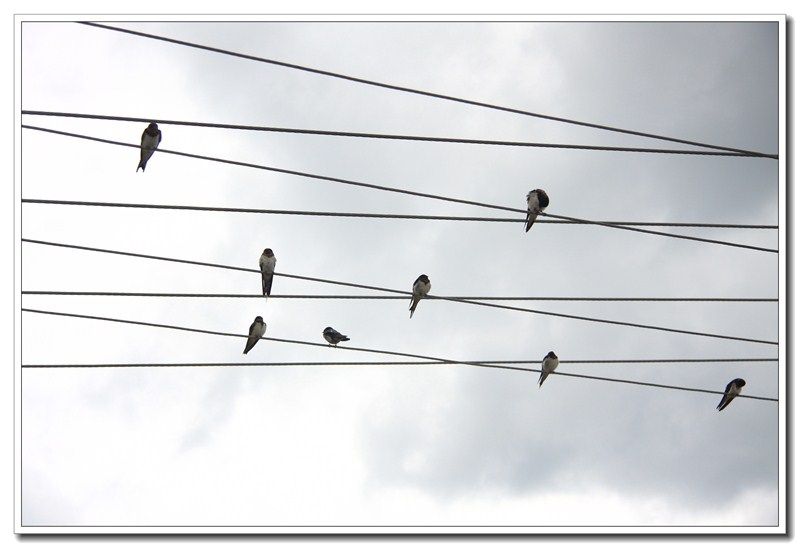 老洲镇gdp_杏坛镇gdp数据图(3)