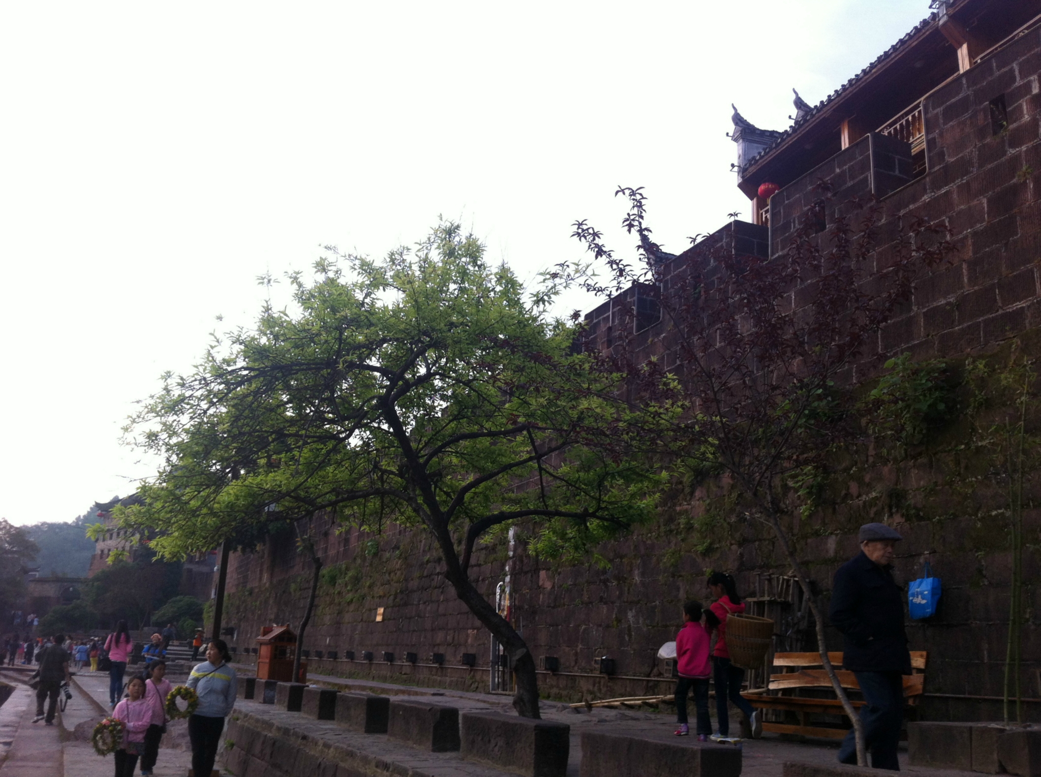 怀化市人口有多少人口_怀化市有哪几个区(2)