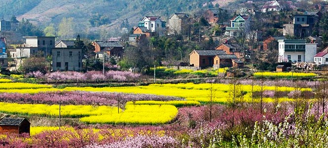 濮塘风景区,位于马鞍山市郊,面积约20平方公里,竹海,古