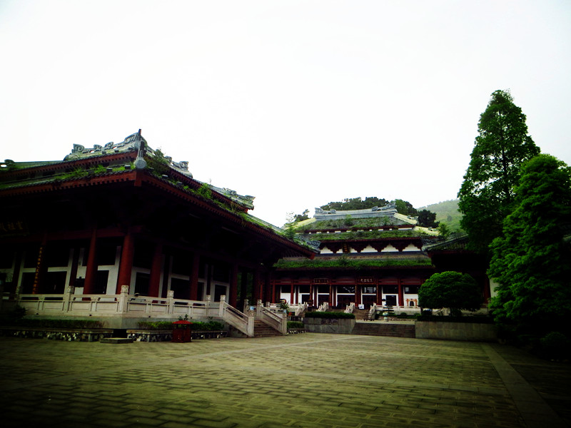 大邑县有多少人口_大邑县新场镇规划图(2)