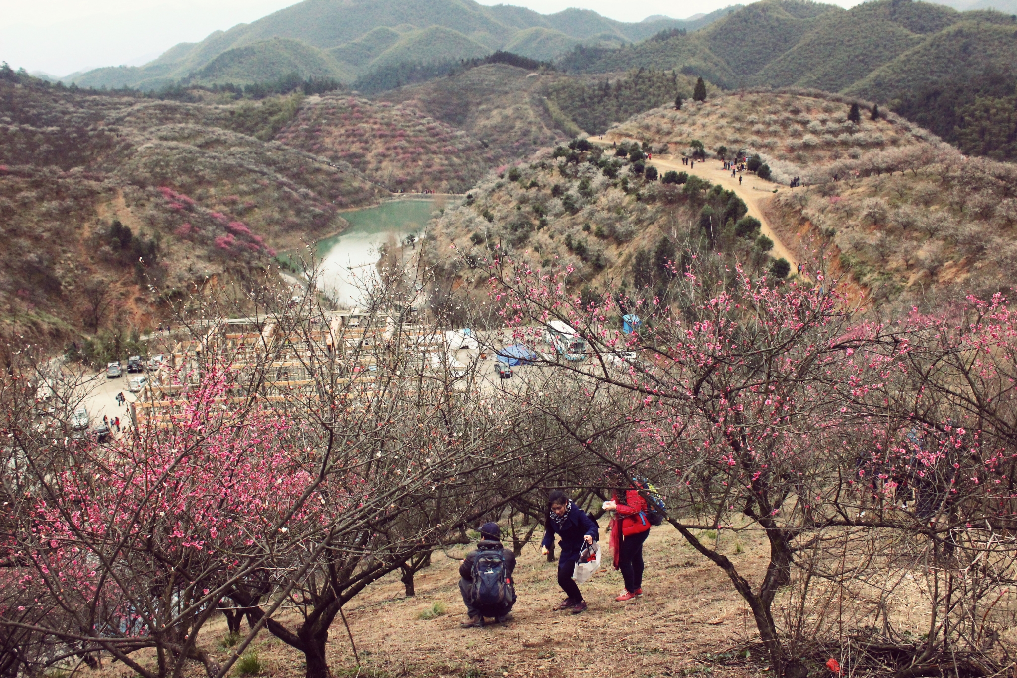 孤芳不自赏—安吉杭垓镇赏千亩梅花图片48,安吉旅游景点,风景名胜