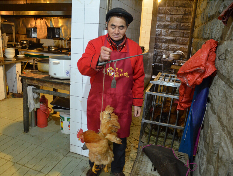 南山泉水鸡_南山泉水鸡人均消费(3)