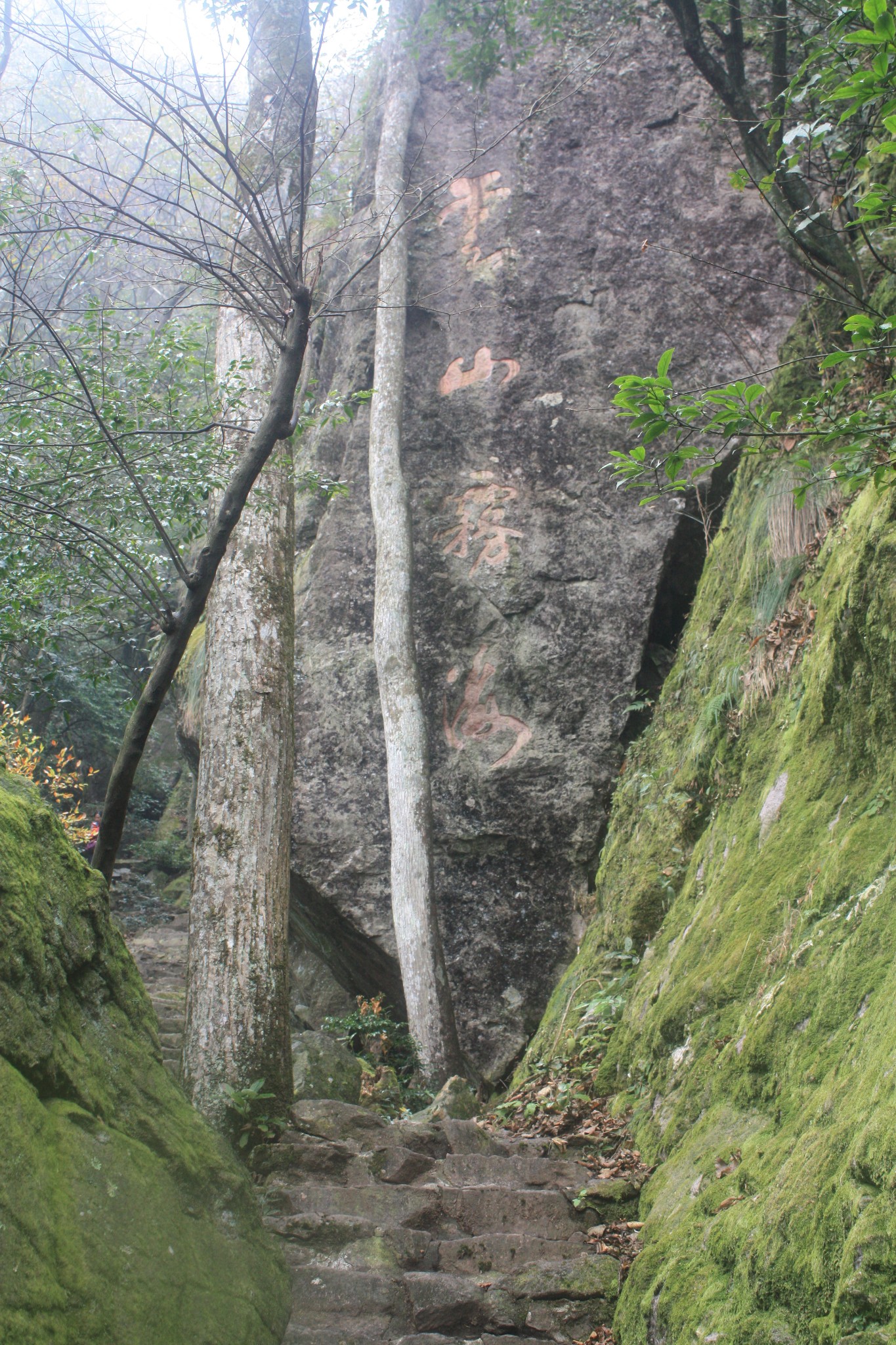 江西省旅游 武宁旅游攻略 武宁神雾山