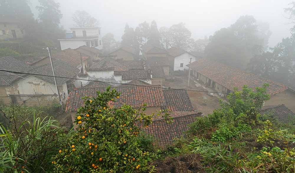 衢州市有多少人口(2)