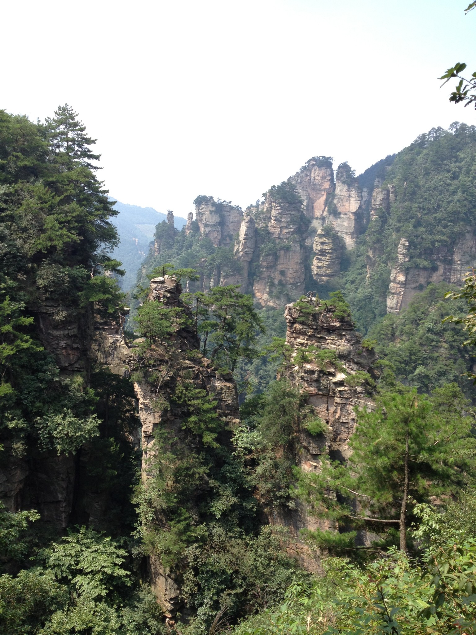 引用 高山流水 的图片