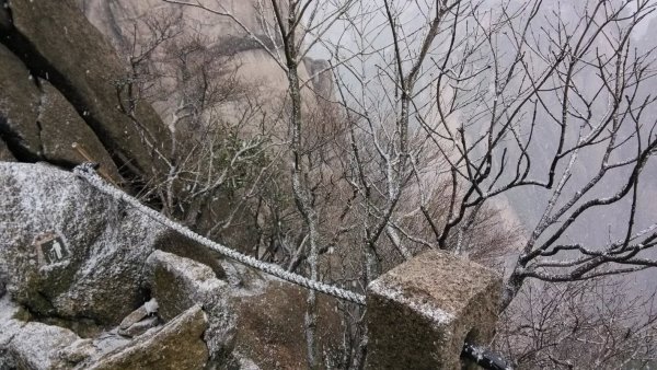 本人三次游黄山的经验总结(纯攻略),黄山自助游攻略