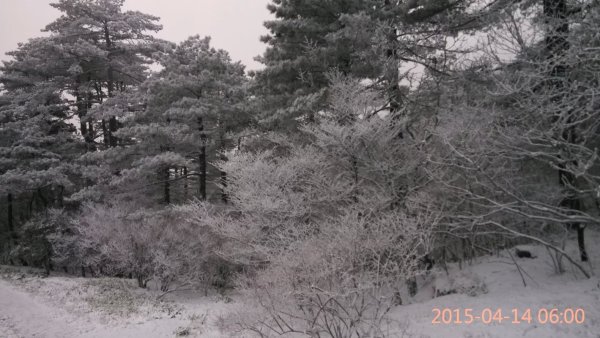 本人三次游黄山的经验总结(纯攻略),黄山自助游攻略