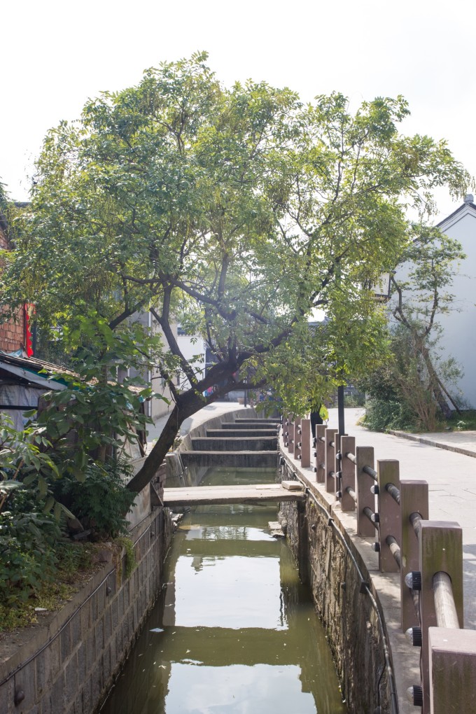 越过跨海大桥,根据高速公路的路牌,就可以顺利找到鸣鹤古镇,不要门票直接进去,小镇商业气息还不是很浓,有一段是卖特产小吃的,买了些尝了尝味道还不错。相比热闹的小吃街,我其实更加喜钻进那些弯曲的小路,探寻留存不多的古镇的气息。