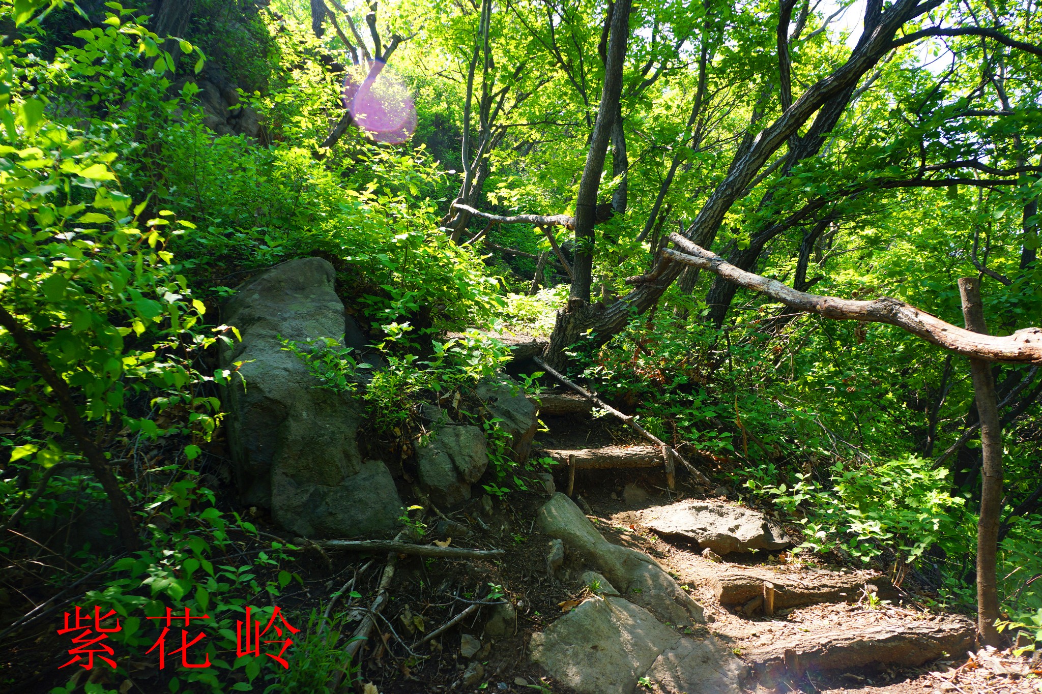 抚顺 紫花岭风景区图片151,抚顺旅游景点,风景名胜 - 马蜂窝图库 - 马