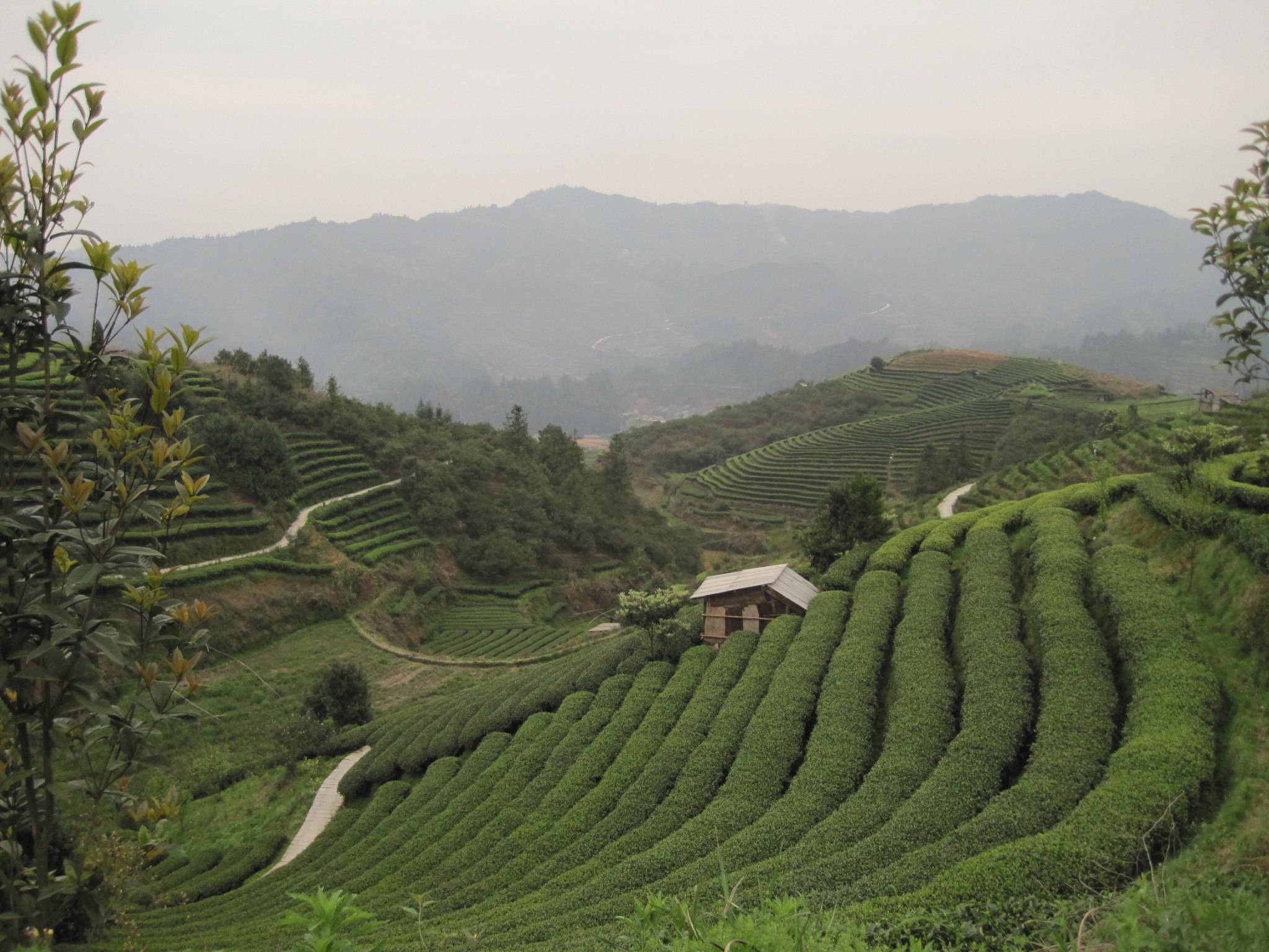 布央仙人山风景区图片21,三江旅游景点,风景名胜 - 马