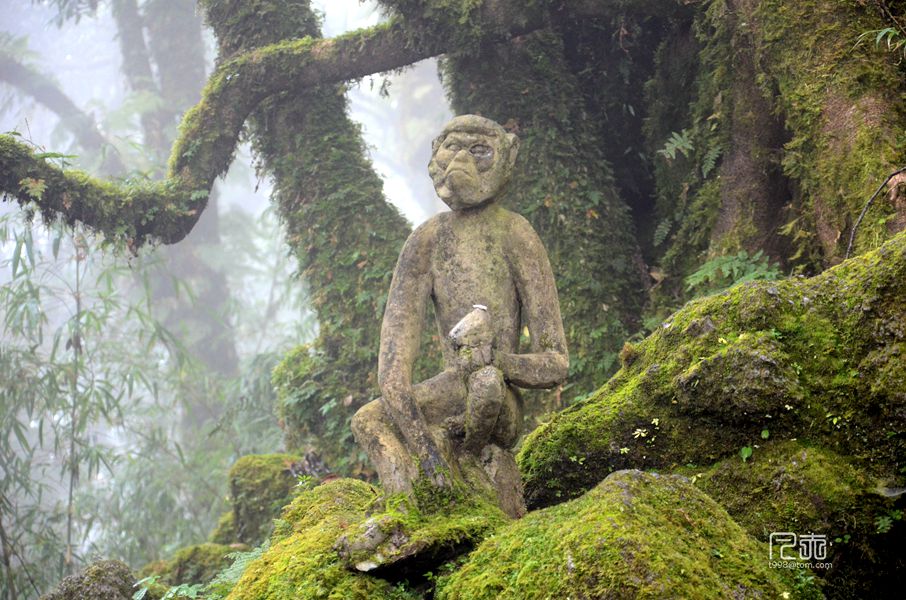 哀牢山探秘——新平戛洒自驾游