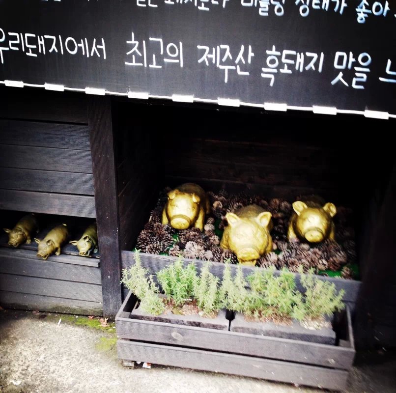 华西村人均收入_人均6000吃什么