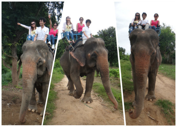 大象过河猜成语_大象小象过河图片(3)