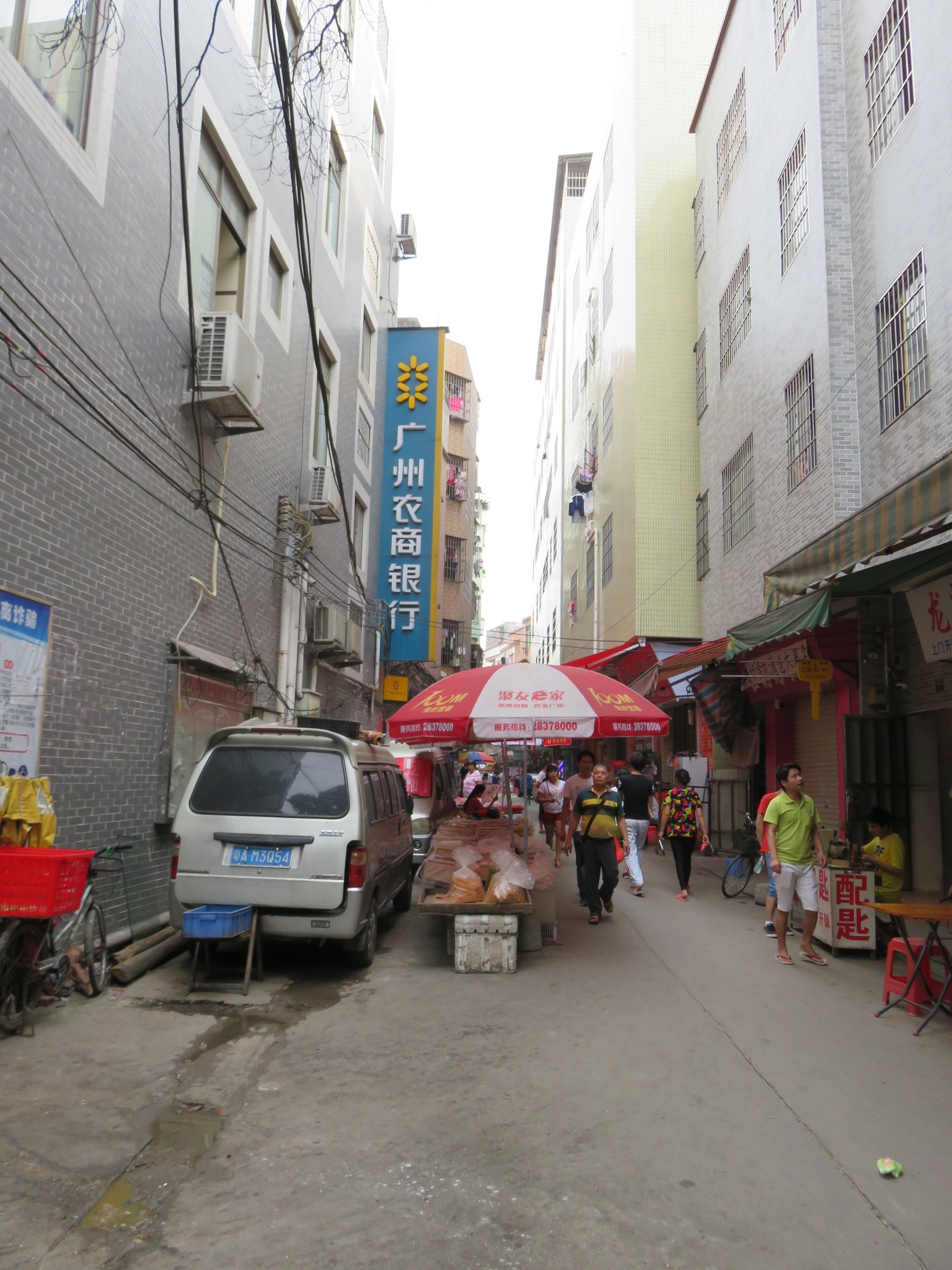 海珠区的村落与湿地:海珠湿地,沥滘卫氏大宗祠,小洲村,龙潭村