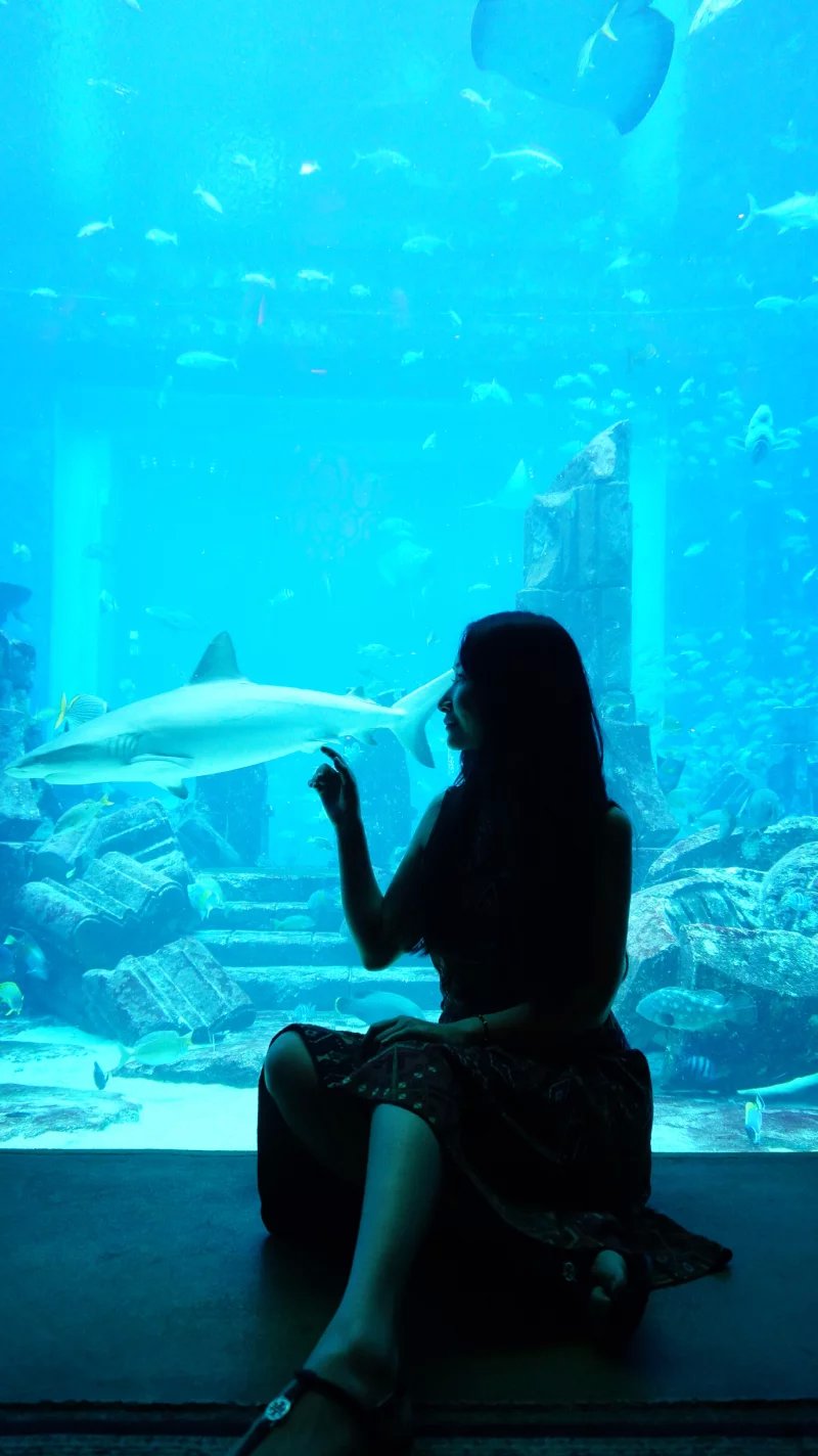 失落的空间水族馆