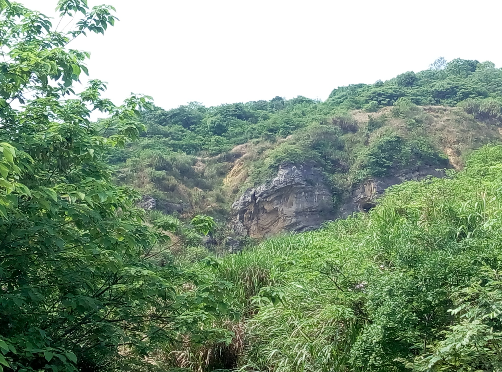 湘潭4大山————金霞山